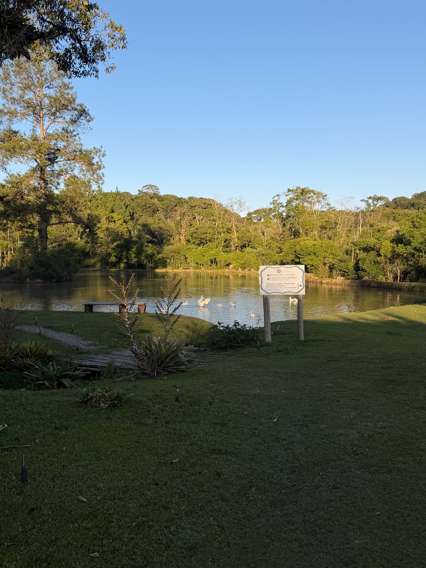 Jardim e lago cercado pela mata no Vilarejo Núcleo Consciência